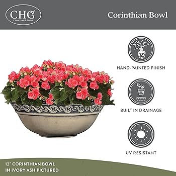 Amazon.com: Classic Home and Garden Corinthian Shallow